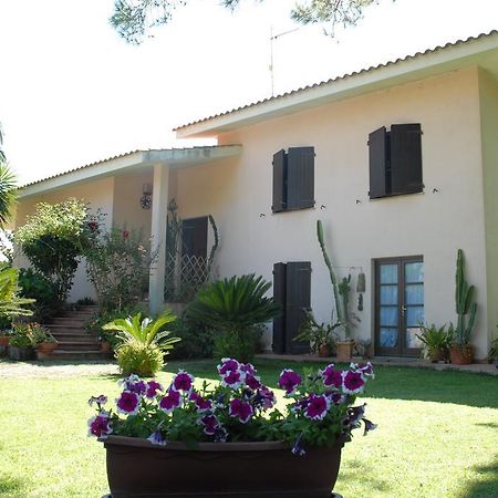 أربورْيا B&B Fra E Fe المظهر الخارجي الصورة