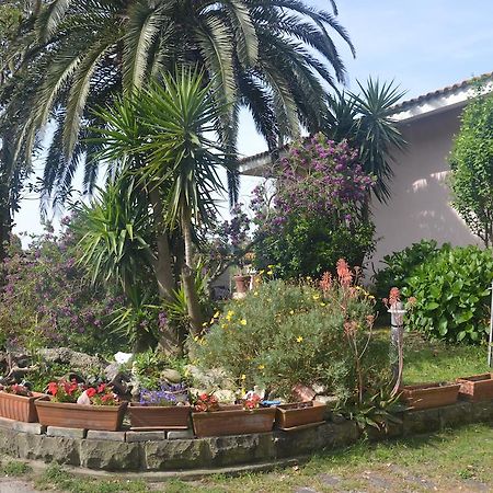 أربورْيا B&B Fra E Fe المظهر الخارجي الصورة