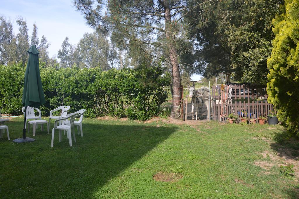 أربورْيا B&B Fra E Fe المظهر الخارجي الصورة