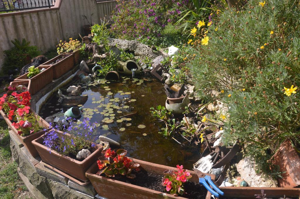 أربورْيا B&B Fra E Fe المظهر الخارجي الصورة